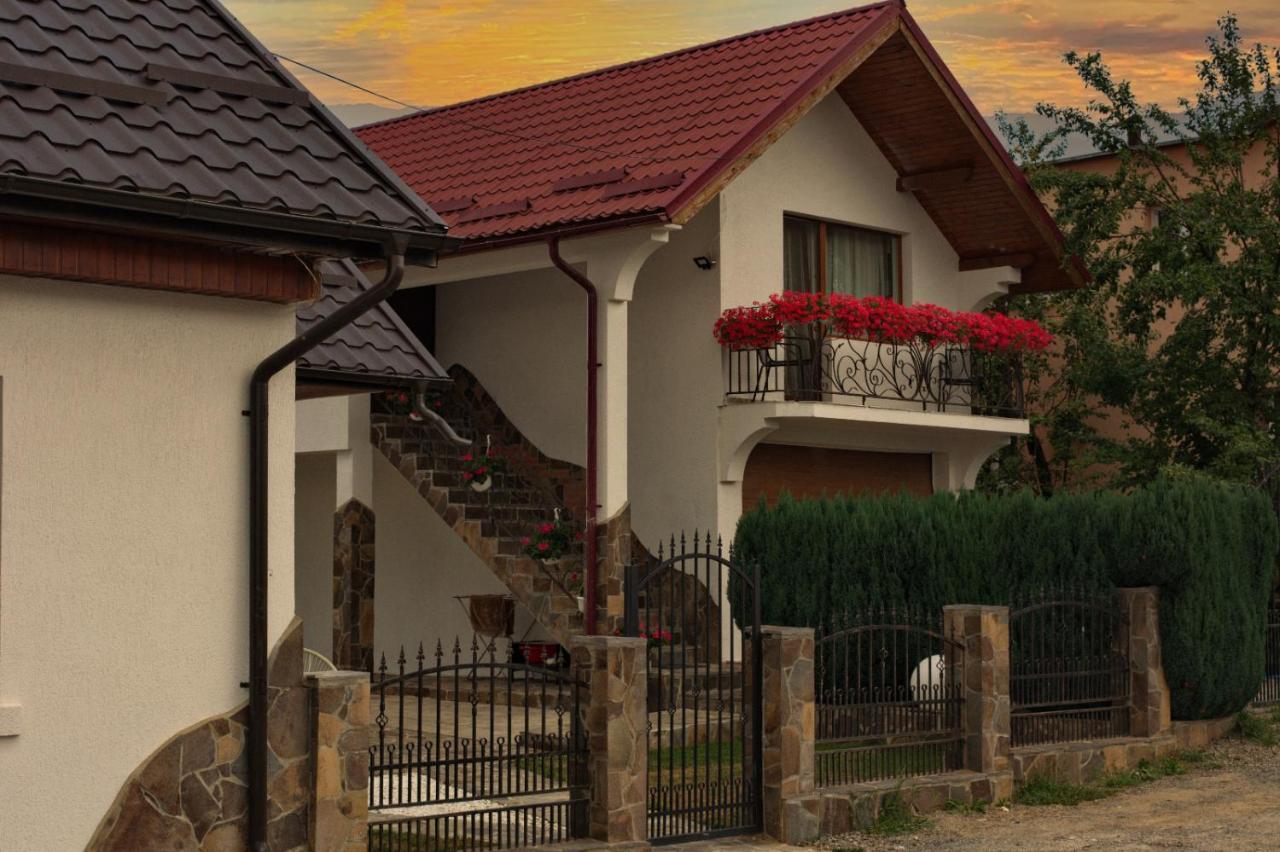 Casa Ade Villa Ocna Sugatag Exterior photo
