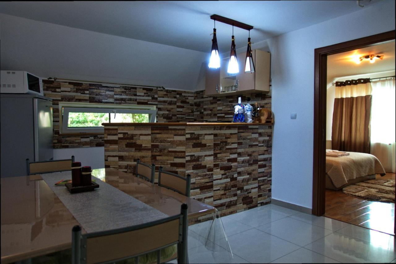 Casa Ade Villa Ocna Sugatag Exterior photo
