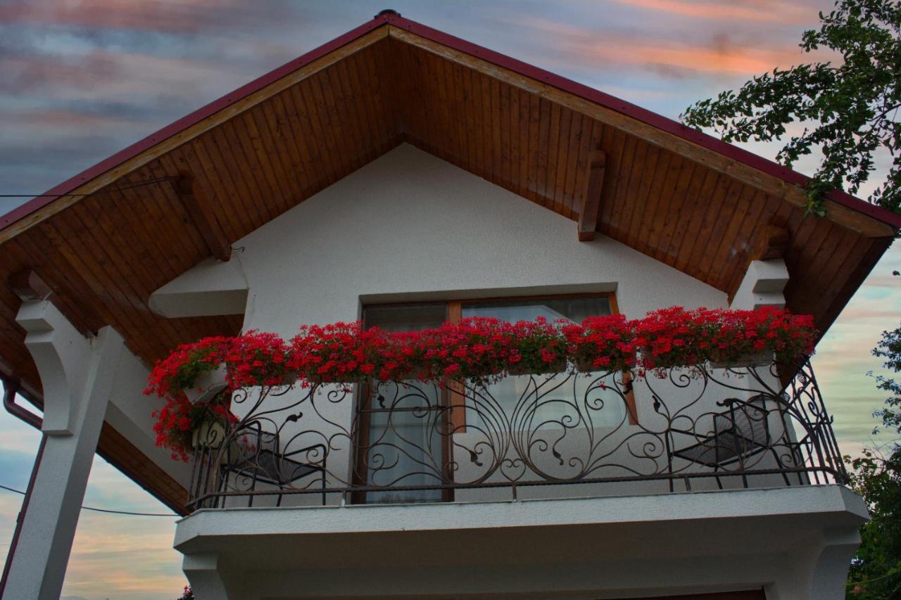 Casa Ade Villa Ocna Sugatag Exterior photo